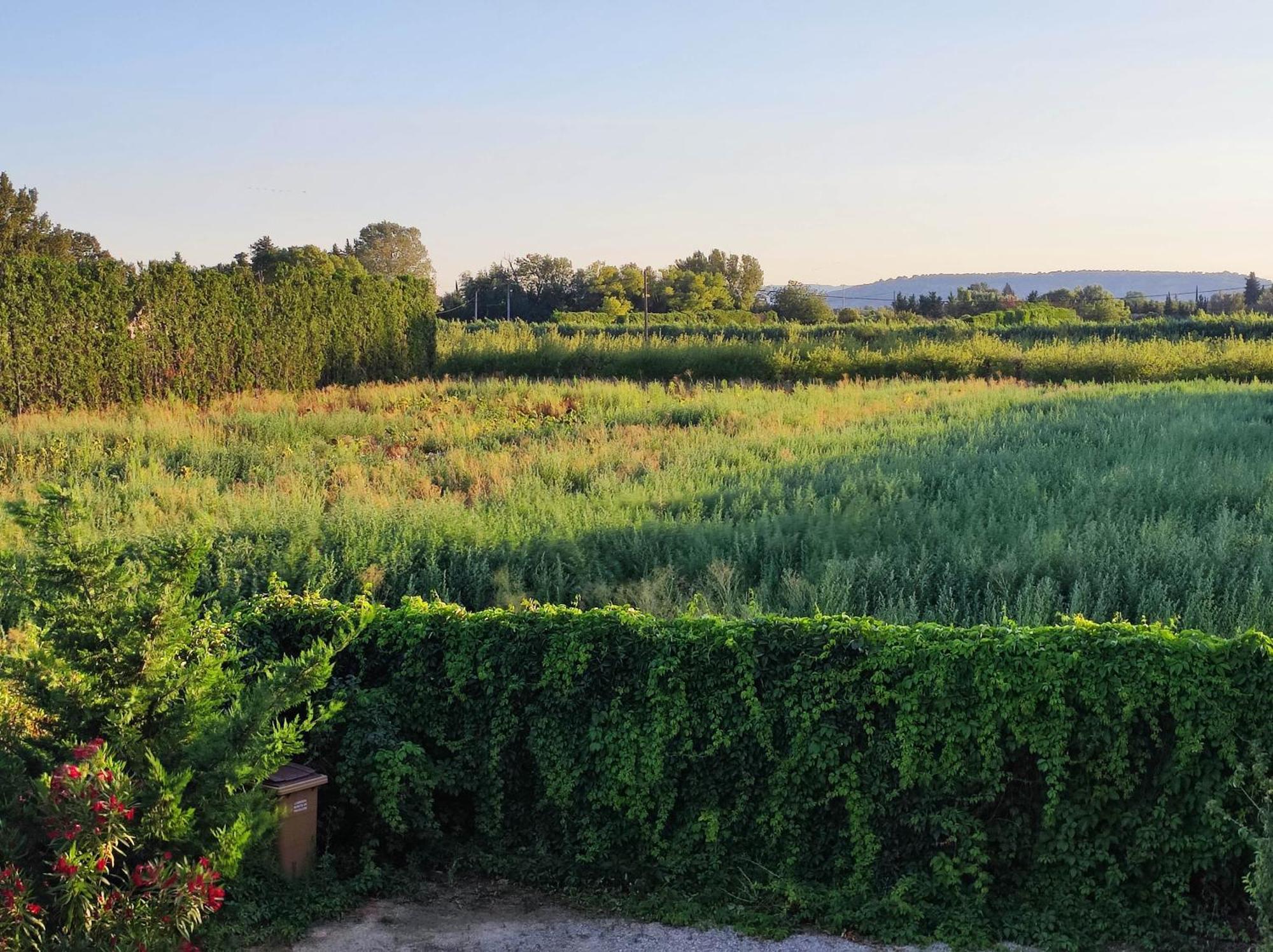 Chambre 3 Personnes Avec Salle De Bain Dans Mas Du Luberon Robion en Luberon Bagian luar foto