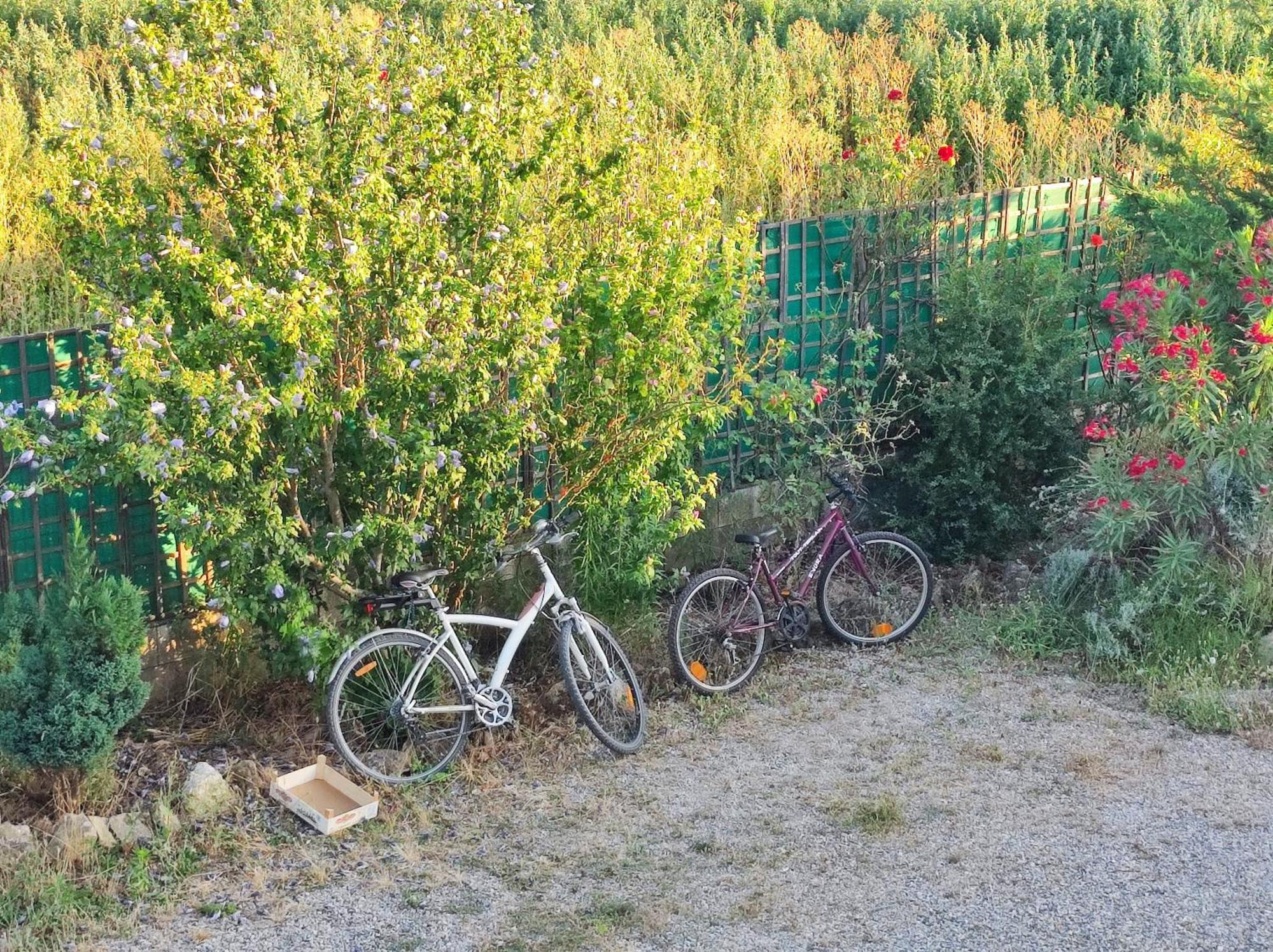 Chambre 3 Personnes Avec Salle De Bain Dans Mas Du Luberon Robion en Luberon Bagian luar foto